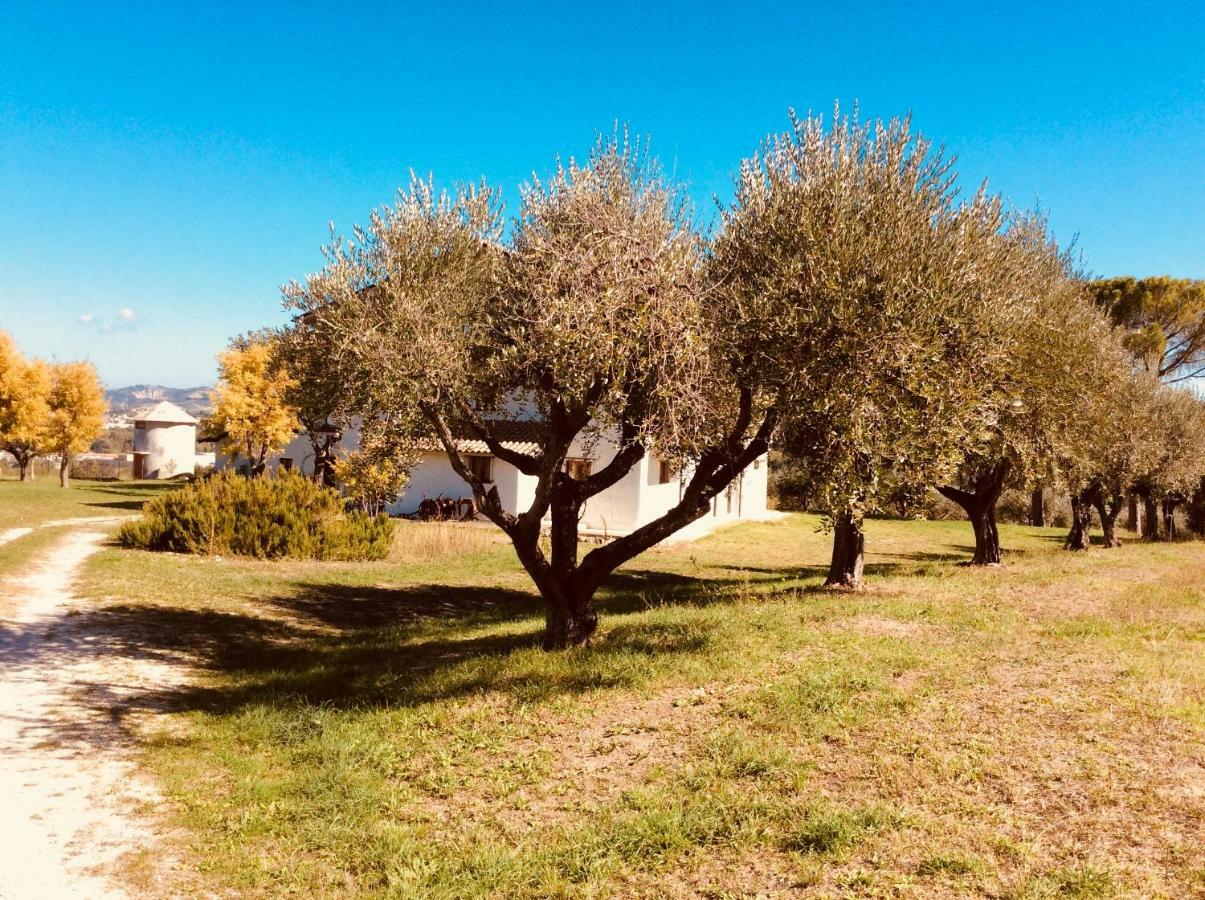 Gasthaus Le Terre D'Abruzzo Alanno Exterior foto
